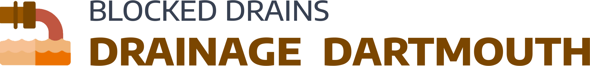 website logo